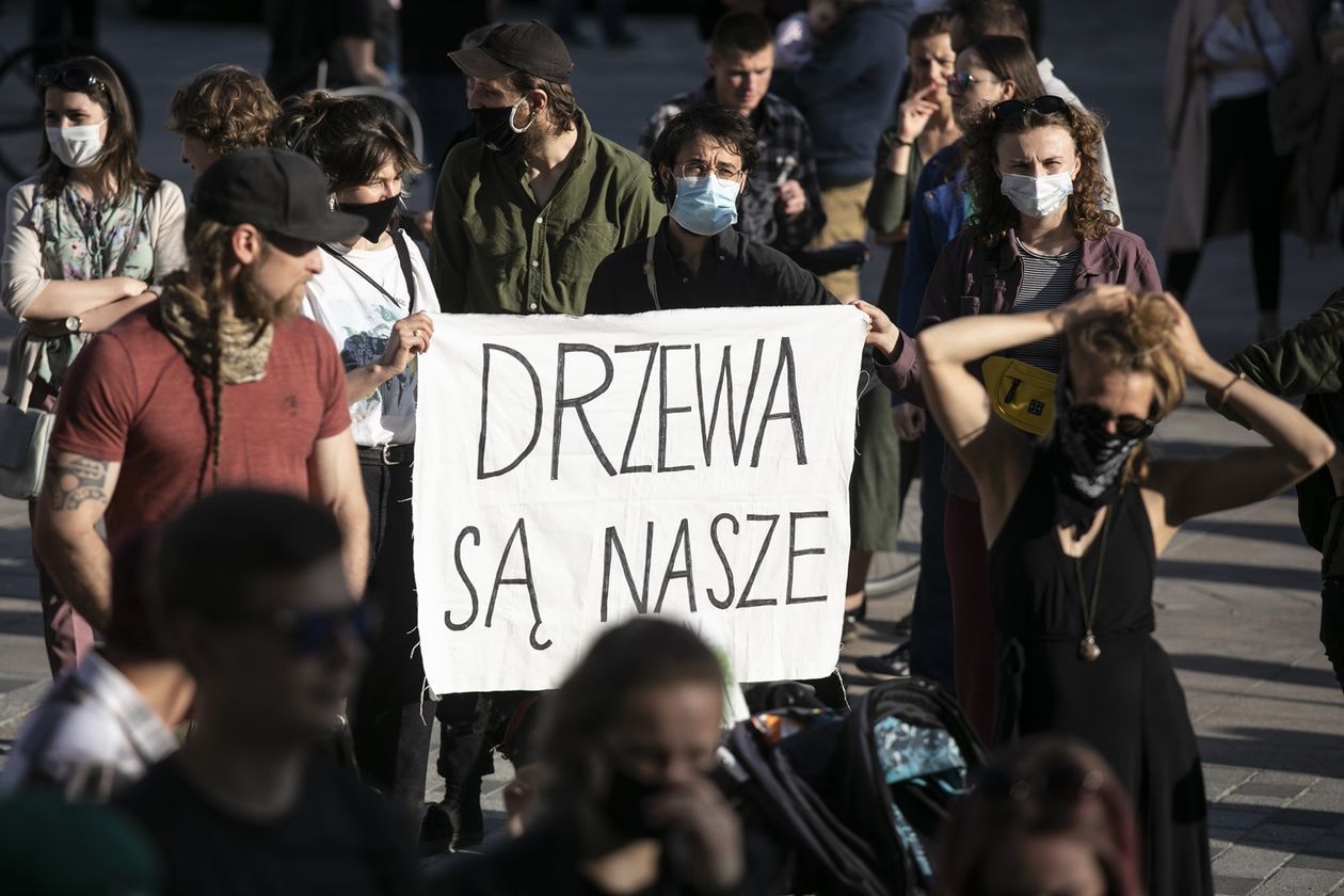  Protest przed Ratuszem w obronie drzew (zdjęcie 1) - Autor: Jacek Szydłowski