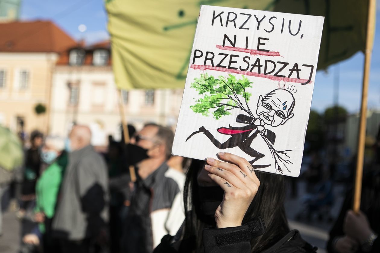  Protest przed Ratuszem w obronie drzew (zdjęcie 1) - Autor: Jacek Szydłowski