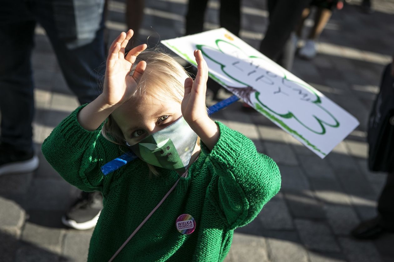  Protest przed Ratuszem w obronie drzew (zdjęcie 1) - Autor: Jacek Szydłowski