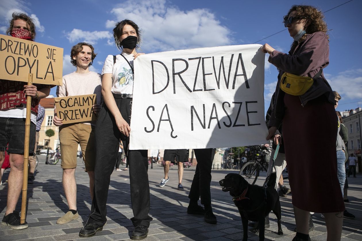  Protest przed Ratuszem w obronie drzew (zdjęcie 1) - Autor: Jacek Szydłowski