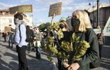 Protest przed Ratuszem w obronie drzew (zdjęcie 3)