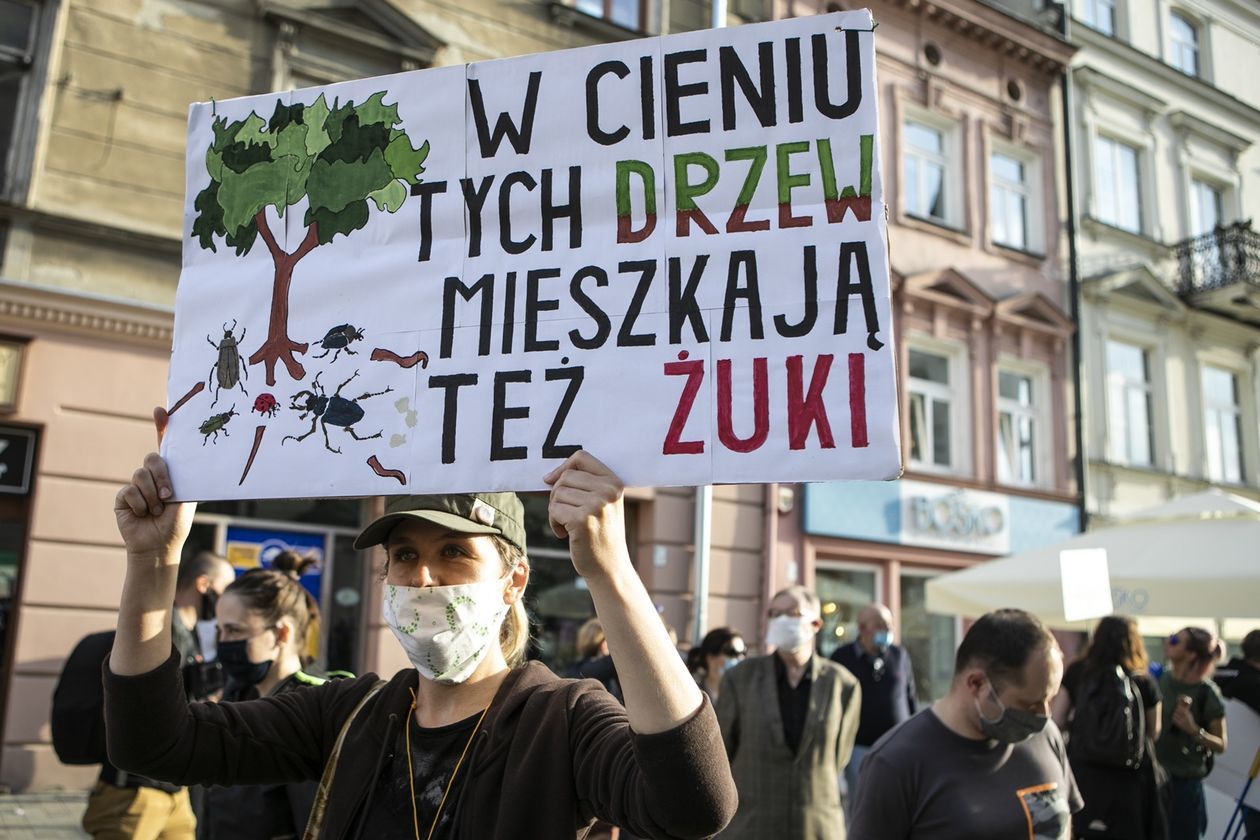  Protest przed Ratuszem w obronie drzew (zdjęcie 1) - Autor: Jacek Szydłowski