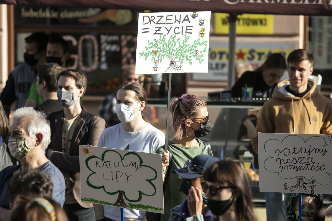  Protest przed Ratuszem w obronie drzew (zdjęcie 1) - Autor: Jacek Szydłowski