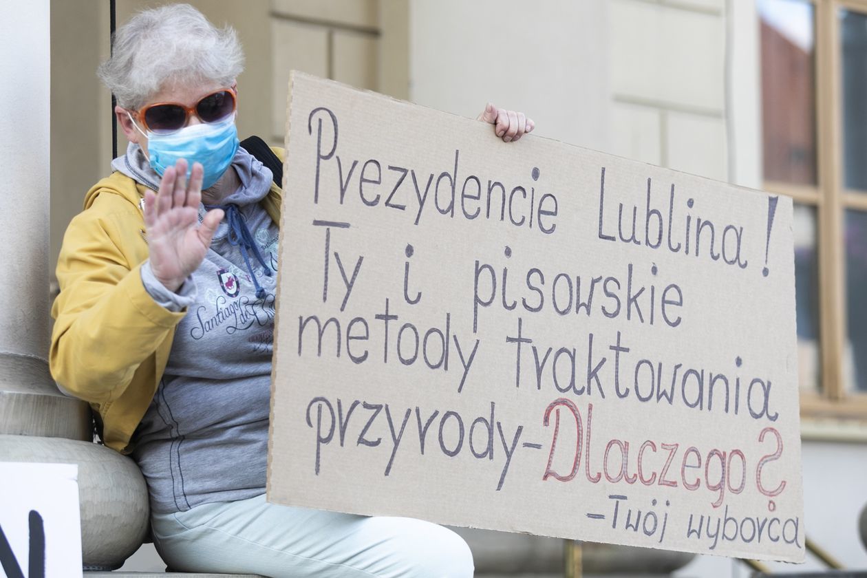  Protest przed Ratuszem w obronie drzew (zdjęcie 1) - Autor: Jacek Szydłowski