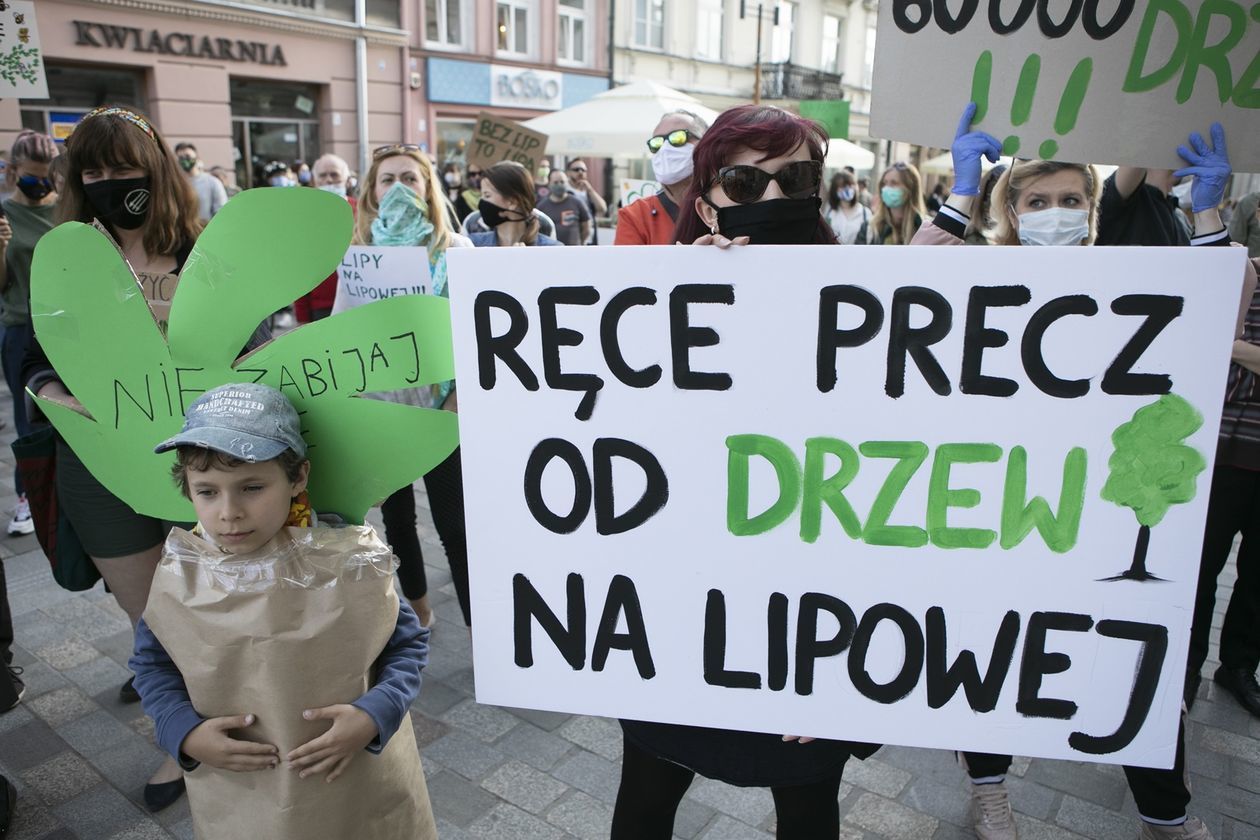  Protest przed Ratuszem w obronie drzew (zdjęcie 1) - Autor: Jacek Szydłowski