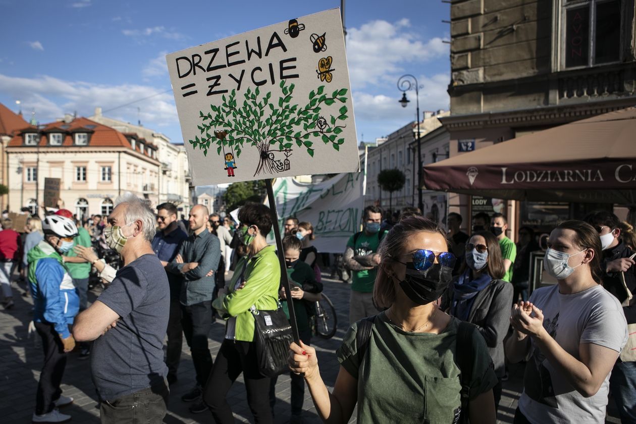  Protest przed Ratuszem w obronie drzew (zdjęcie 1) - Autor: Jacek Szydłowski