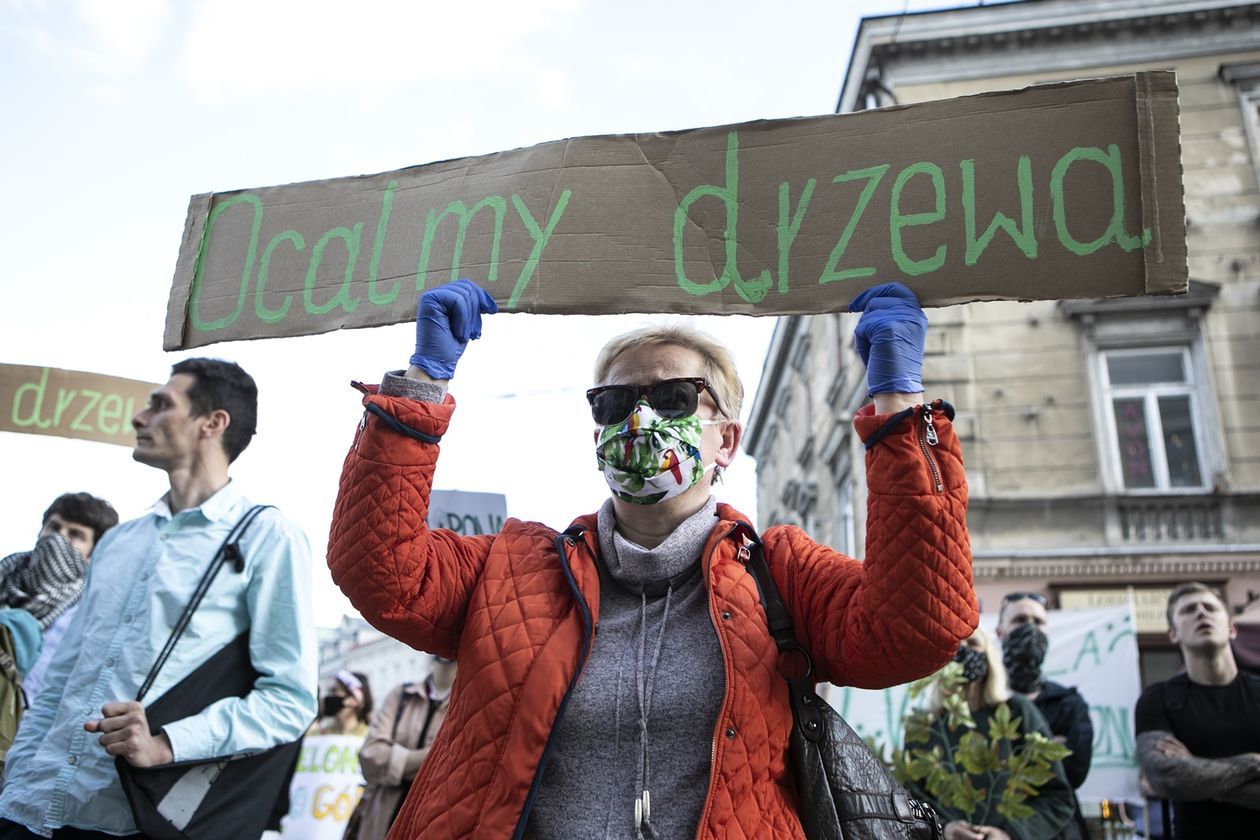  Protest przed Ratuszem w obronie drzew (zdjęcie 1) - Autor: Jacek Szydłowski