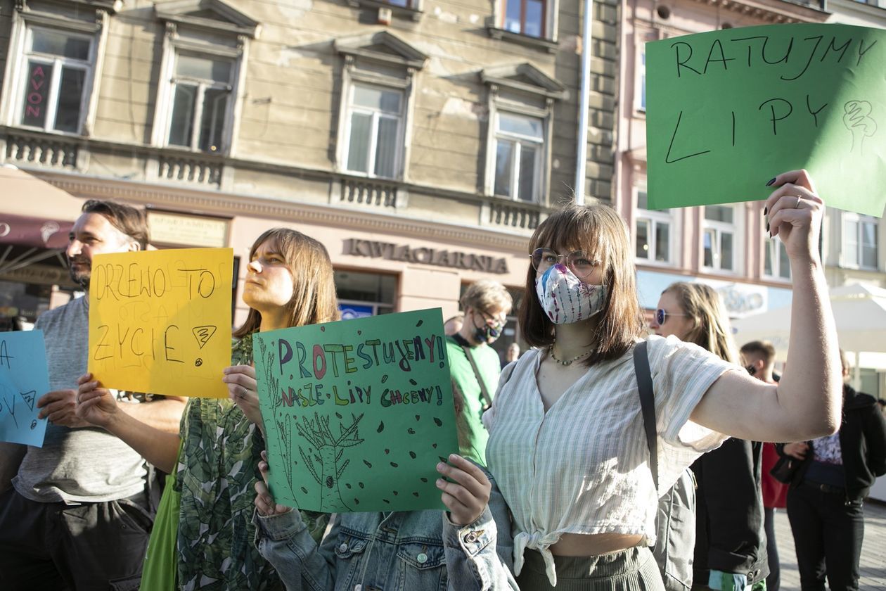  Protest przed Ratuszem w obronie drzew (zdjęcie 1) - Autor: Jacek Szydłowski