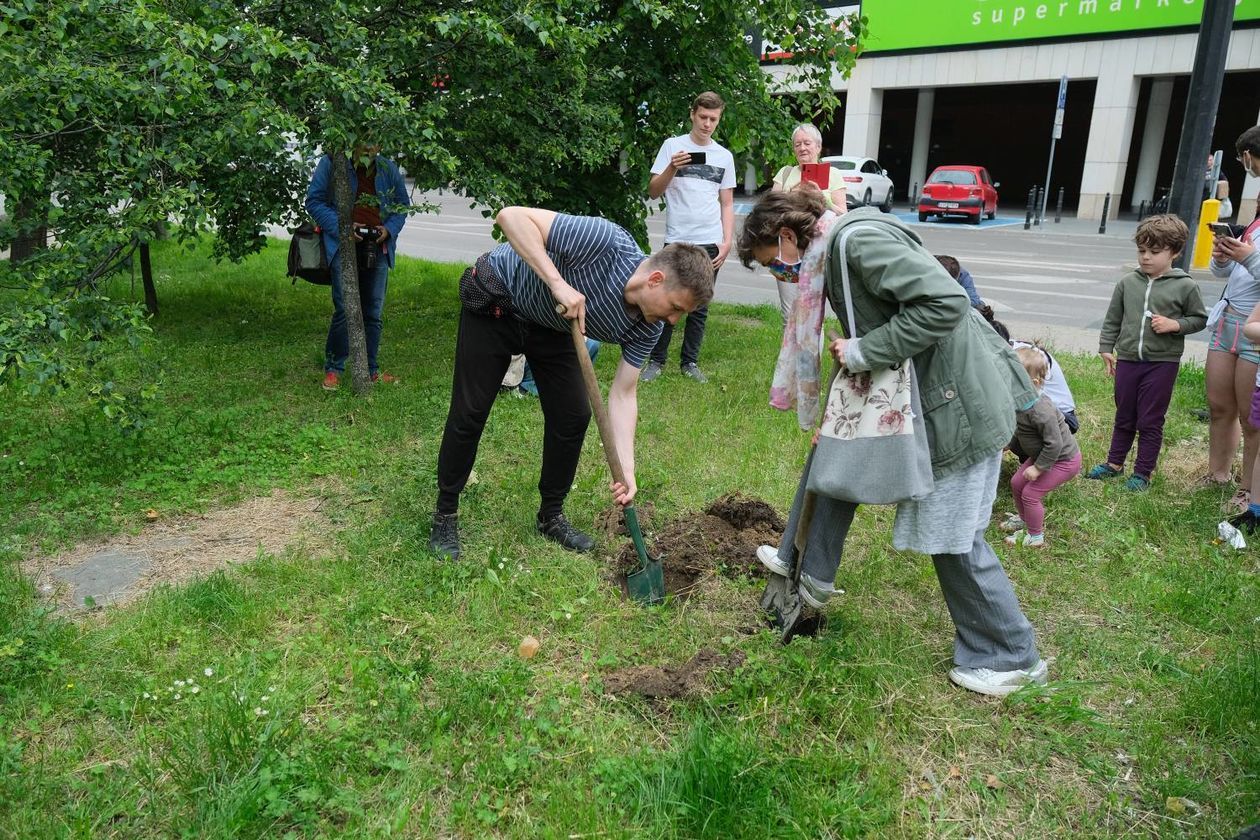  Piątkowa akcja obrońców drzew przy ul. Lipowej w Lublinie (zdjęcie 1) - Autor: Maciej Kaczanowski