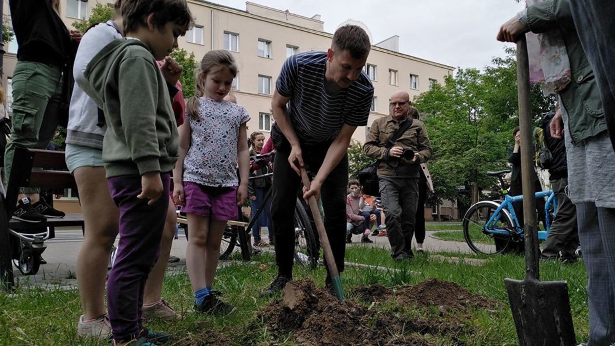  Piątkowa akcja obrońców drzew przy ul. Lipowej w Lublinie (zdjęcie 1) - Autor: Dominik Smaga