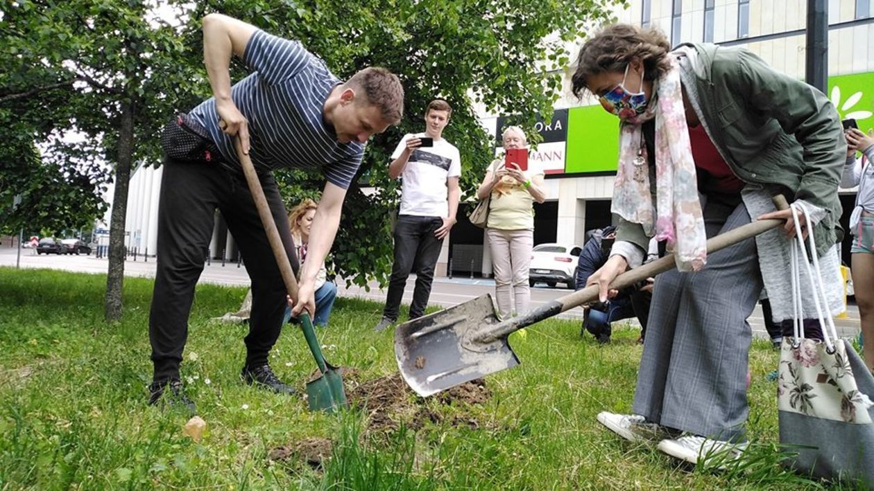  Piątkowa akcja obrońców drzew przy ul. Lipowej w Lublinie (zdjęcie 1) - Autor: Dominik Smaga