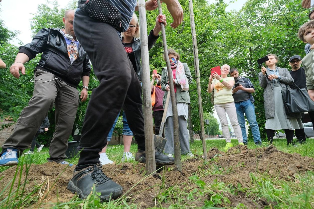  Piątkowa akcja obrońców drzew przy ul. Lipowej w Lublinie (zdjęcie 1) - Autor: Maciej Kaczanowski