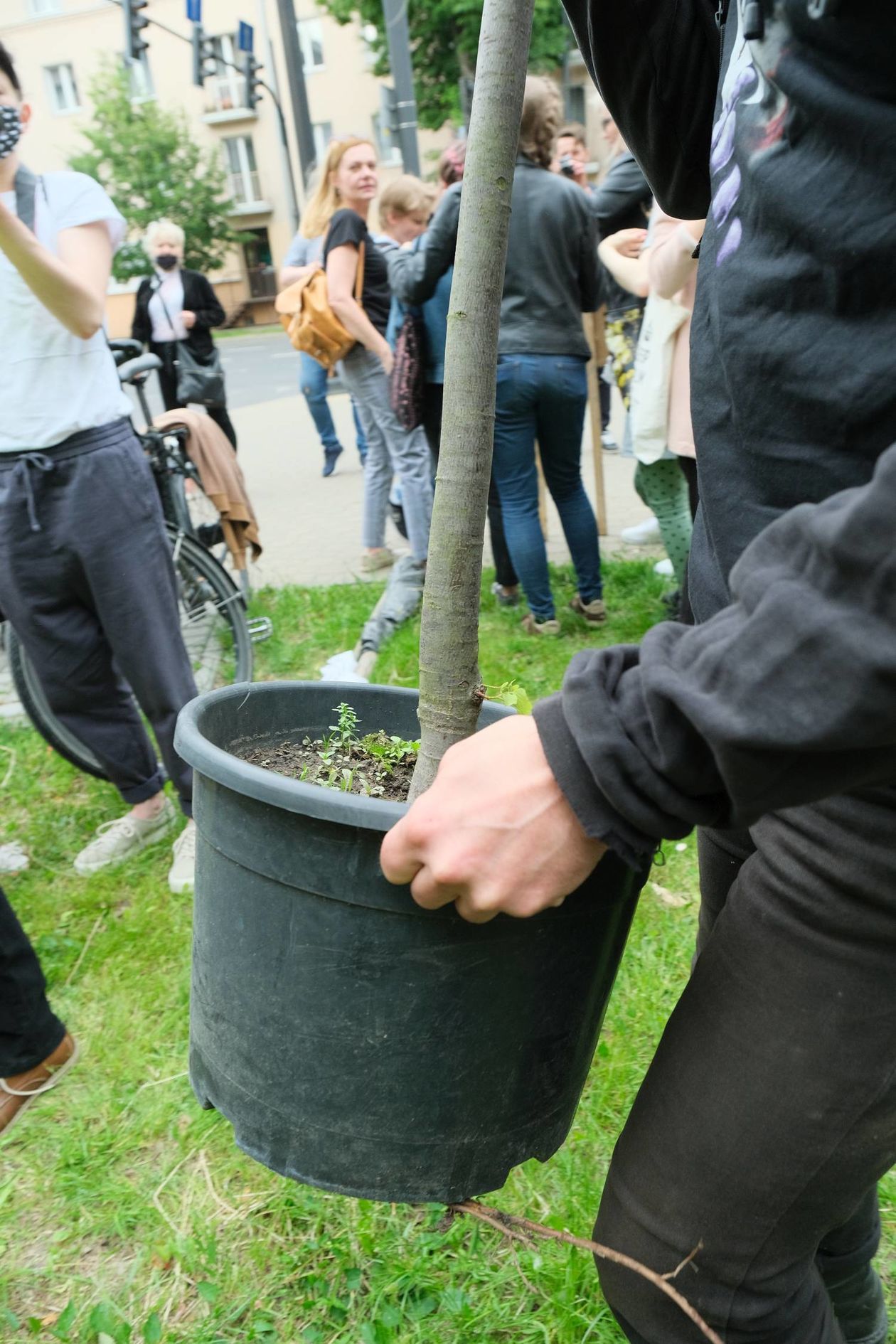  Piątkowa akcja obrońców drzew przy ul. Lipowej w Lublinie (zdjęcie 1) - Autor: Maciej Kaczanowski