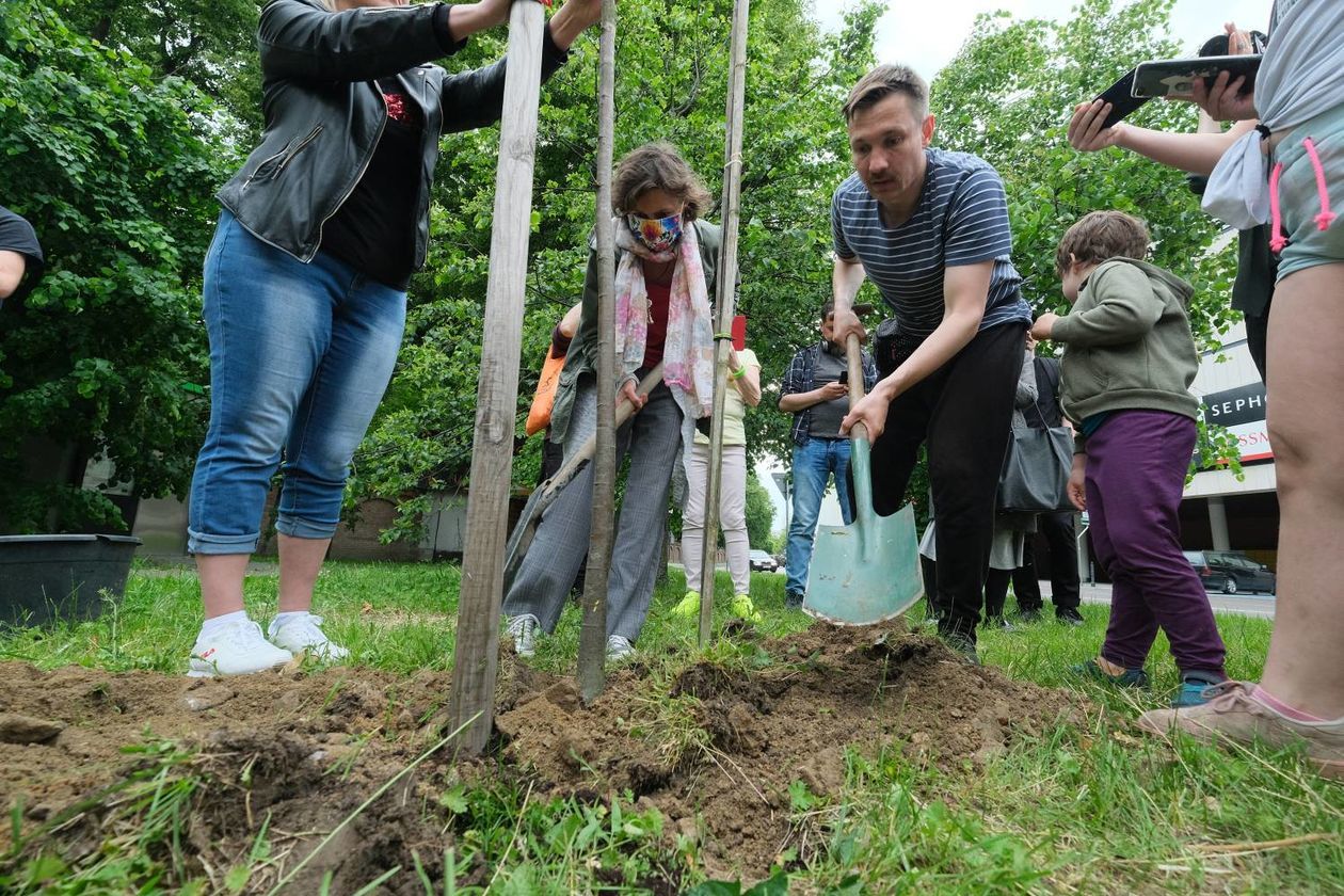  Piątkowa akcja obrońców drzew przy ul. Lipowej w Lublinie (zdjęcie 1) - Autor: Maciej Kaczanowski