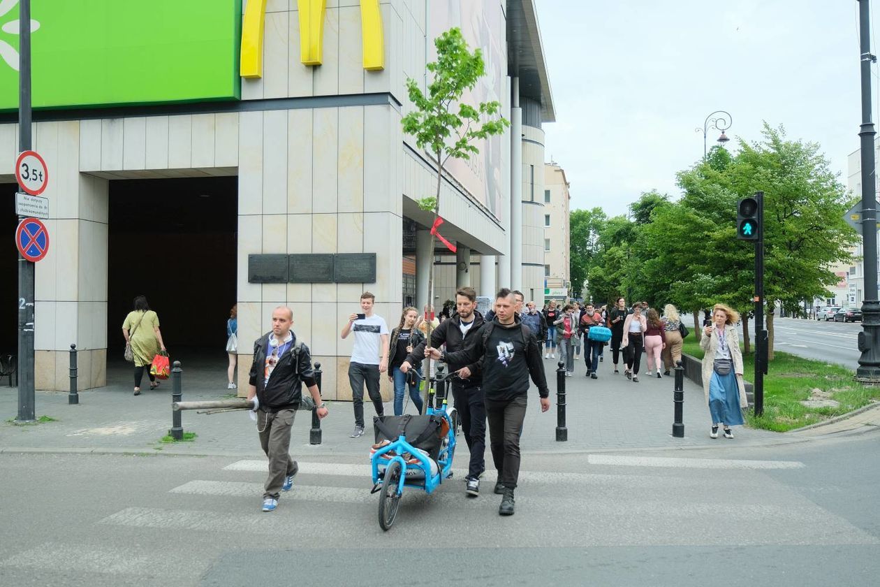  Piątkowa akcja obrońców drzew przy ul. Lipowej w Lublinie (zdjęcie 1) - Autor: Maciej Kaczanowski