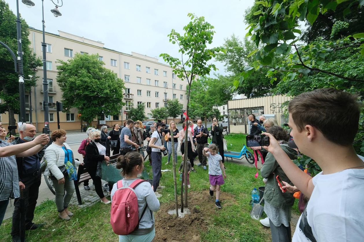  Piątkowa akcja obrońców drzew przy ul. Lipowej w Lublinie (zdjęcie 1) - Autor: Maciej Kaczanowski