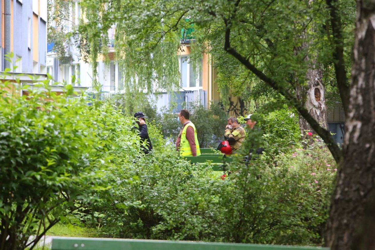  Ewakuacja w bloku na LSM (zdjęcie 1) - Autor: Piotr Michalski