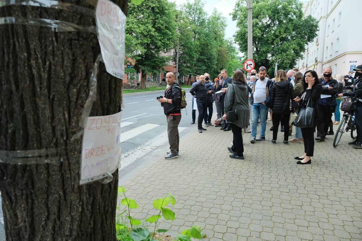  Wizja lokalna obrońców drzew na ul. Lipowej (zdjęcie 1) - Autor: Maciej Kaczanowski
