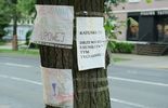Wizja lokalna obrońców drzew na ul. Lipowej (zdjęcie 5)