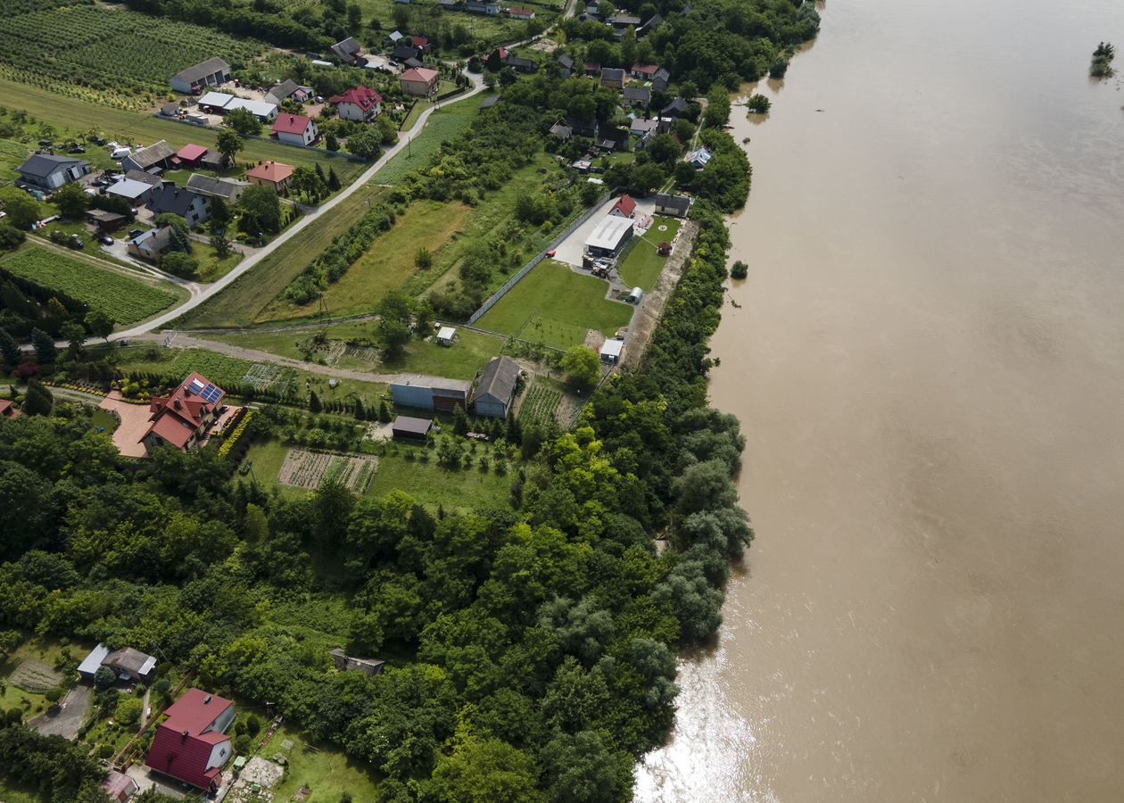  Fala wezbraniowa na Wiśle w okolicach Annopola i Zawichostu (zdjęcie 1) - Autor: Jacek Szydłowski