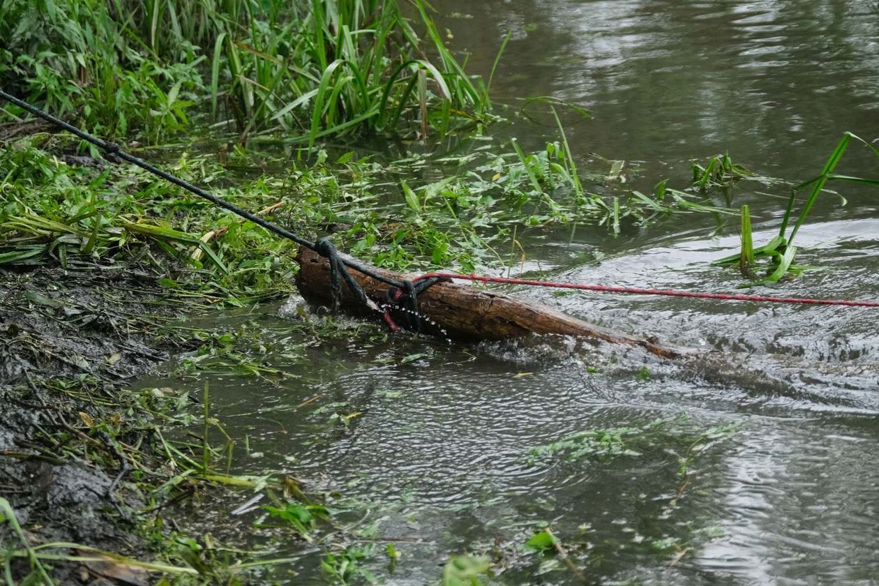  Sprzątanie śmieci zalegających w Bystrzycy na wysokości miejscowości Długie w gminie Wólka (zdjęcie 1) - Autor: Maciej Kaczanowski