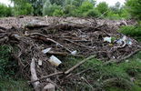Sterty śmieci nad Wisłą  (zdjęcie 3)