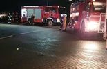 Pożar za AJG w Puławach (zdjęcie 4)
