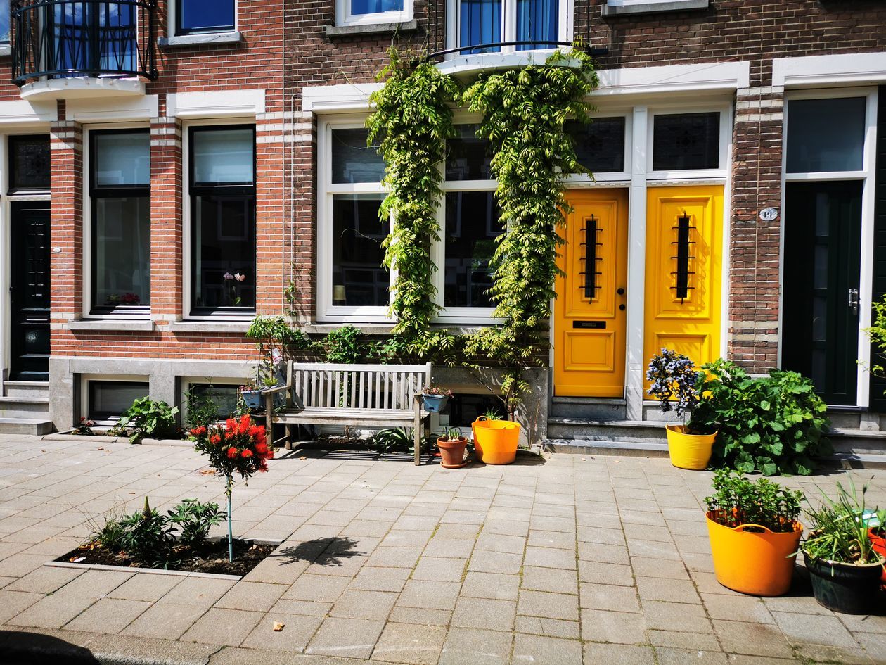  Ogrody fasadowe w Rotterdamie (zdjęcie 8) - Autor: Raymond William Landegent