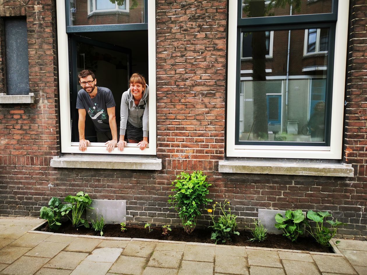  <p>Władze Rotterdamu zachęcają mieszkańc&oacute;w do usuwania płyt chodnikowych i sadzenia roślin</p>