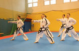 Trening Taekwon-do z Kadrą Narodową Polski (zdjęcie 4)