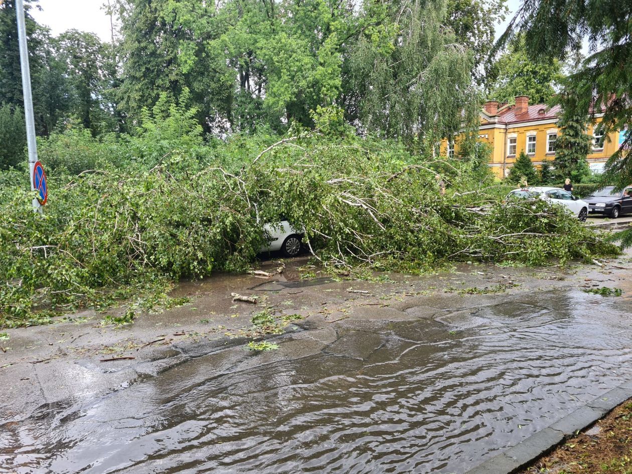  Nawałnica nad Zamościem i okolicami (zdjęcie 1) - Autor: Tygodnik Zamojski