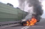 Płonące BMW na drodze S12 (zdjęcie 5)