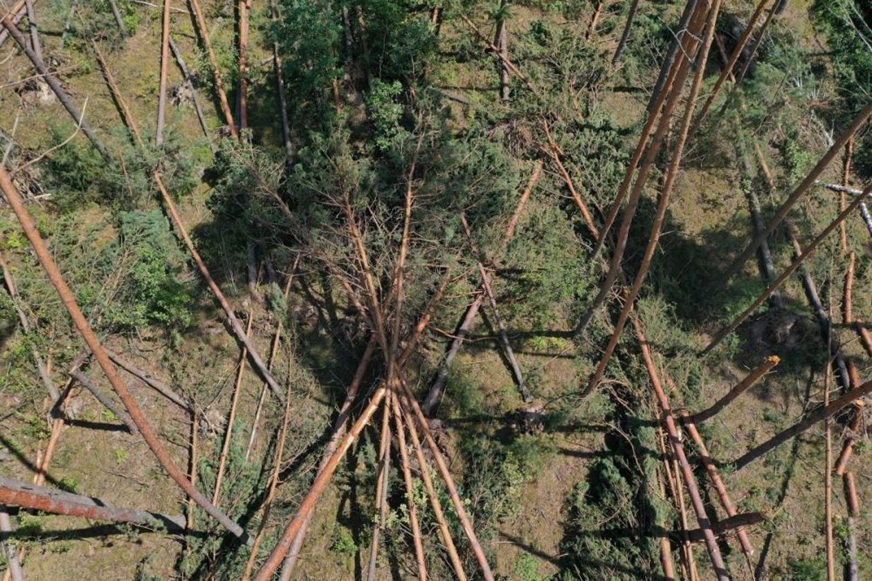 Zniszczenia w leśnictwie Zabłocie 
