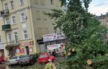 Powalone przez ulewę drzewa w Lublinie (zdjęcie 5)