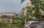 Powalone przez ulewę drzewa w Lublinie (zdjęcie 4)