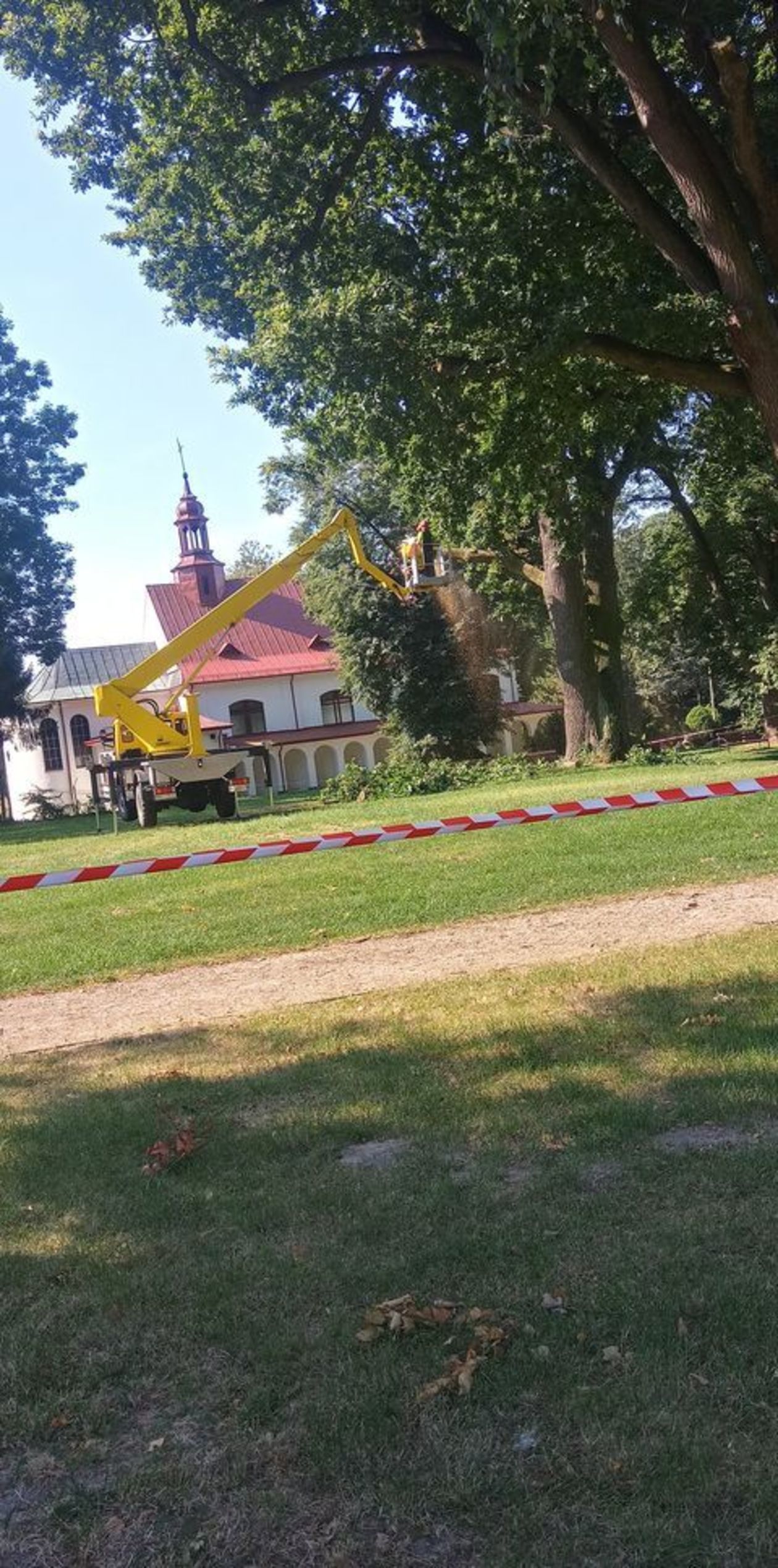  Wycinka 100-letniego dębu w Łubkach (zdjęcie 1) - Autor: Czytelniczka