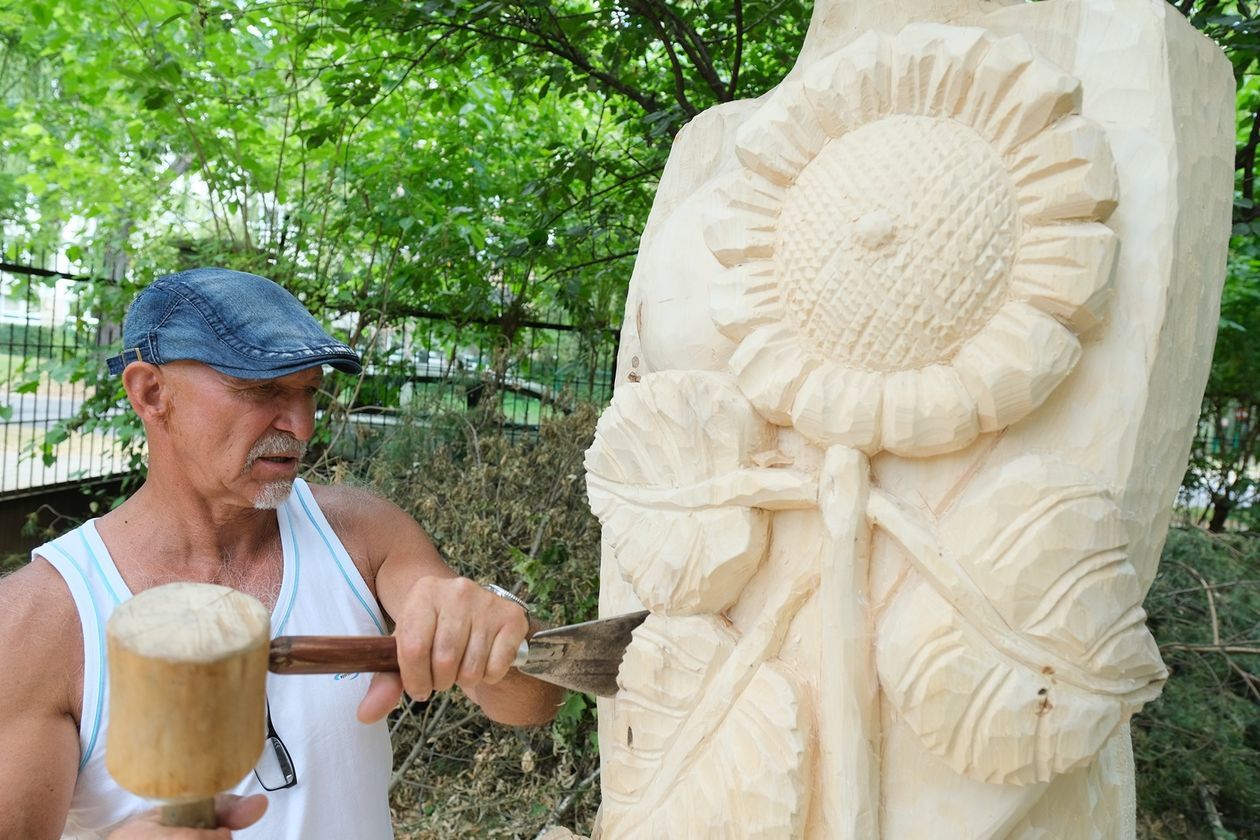  Plener rzeźbiarski Nad Bystrzycą (zdjęcie 1) - Autor: Maciej Kaczanowski