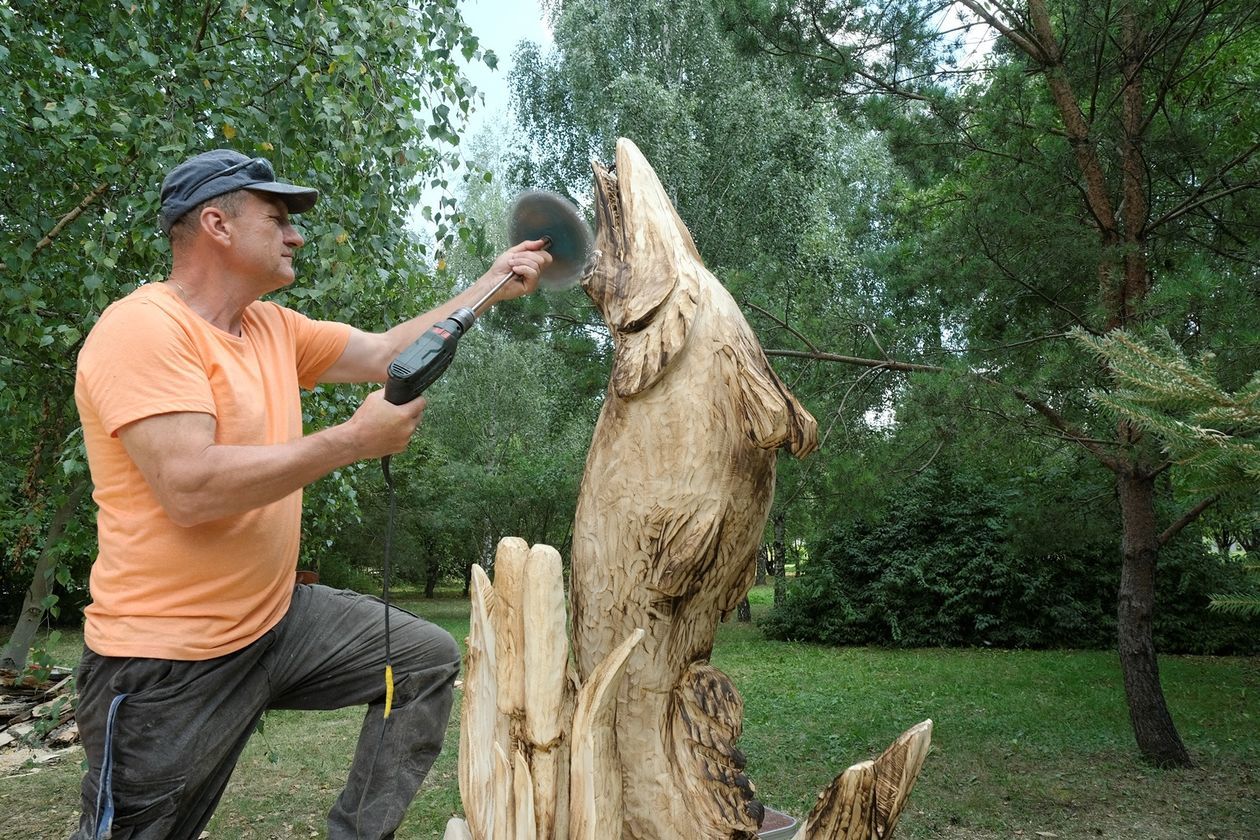  Plener rzeźbiarski Nad Bystrzycą (zdjęcie 1) - Autor: Maciej Kaczanowski