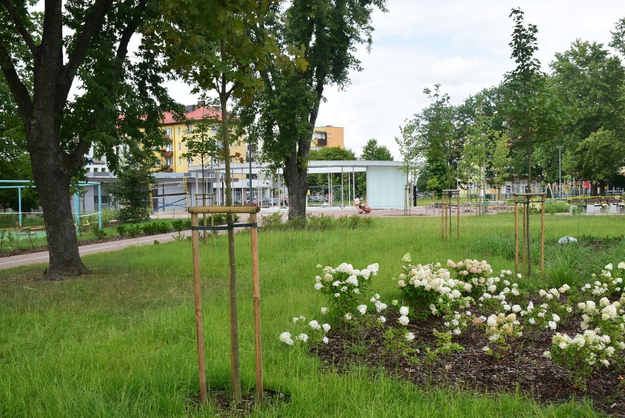  Przebudowa centrum Biłgoraja (zdjęcie 1) - Autor: UM Biłgoraj