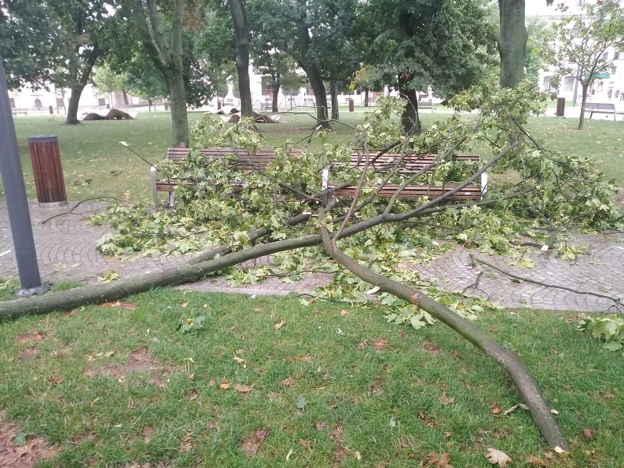  <p>Wiatr poczynił kolejne szkody na pl. Litewskim, gdzie połamane konary drzew spadły m.in. na ławki</p>