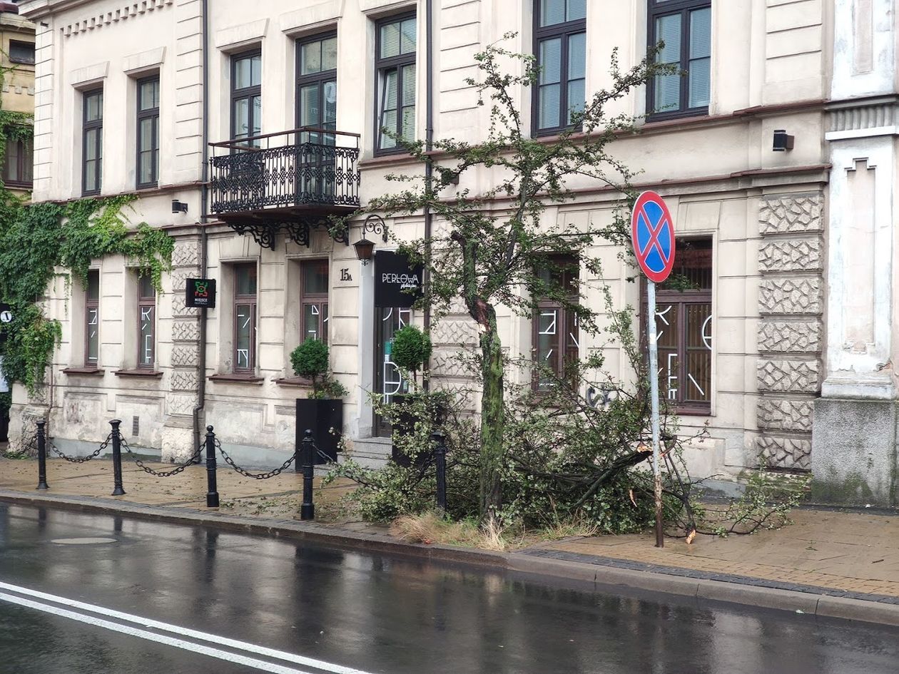  <p>Połamane gałęzie drzewa przy ul. Bernardyńskiej</p>