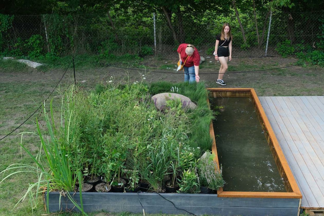  W Browarze Perła rozpoczął się Festiwal Ogrodów i Przestrzeni Publicznej pt. In Garden (zdjęcie 1) - Autor: Maciej Kaczanowski