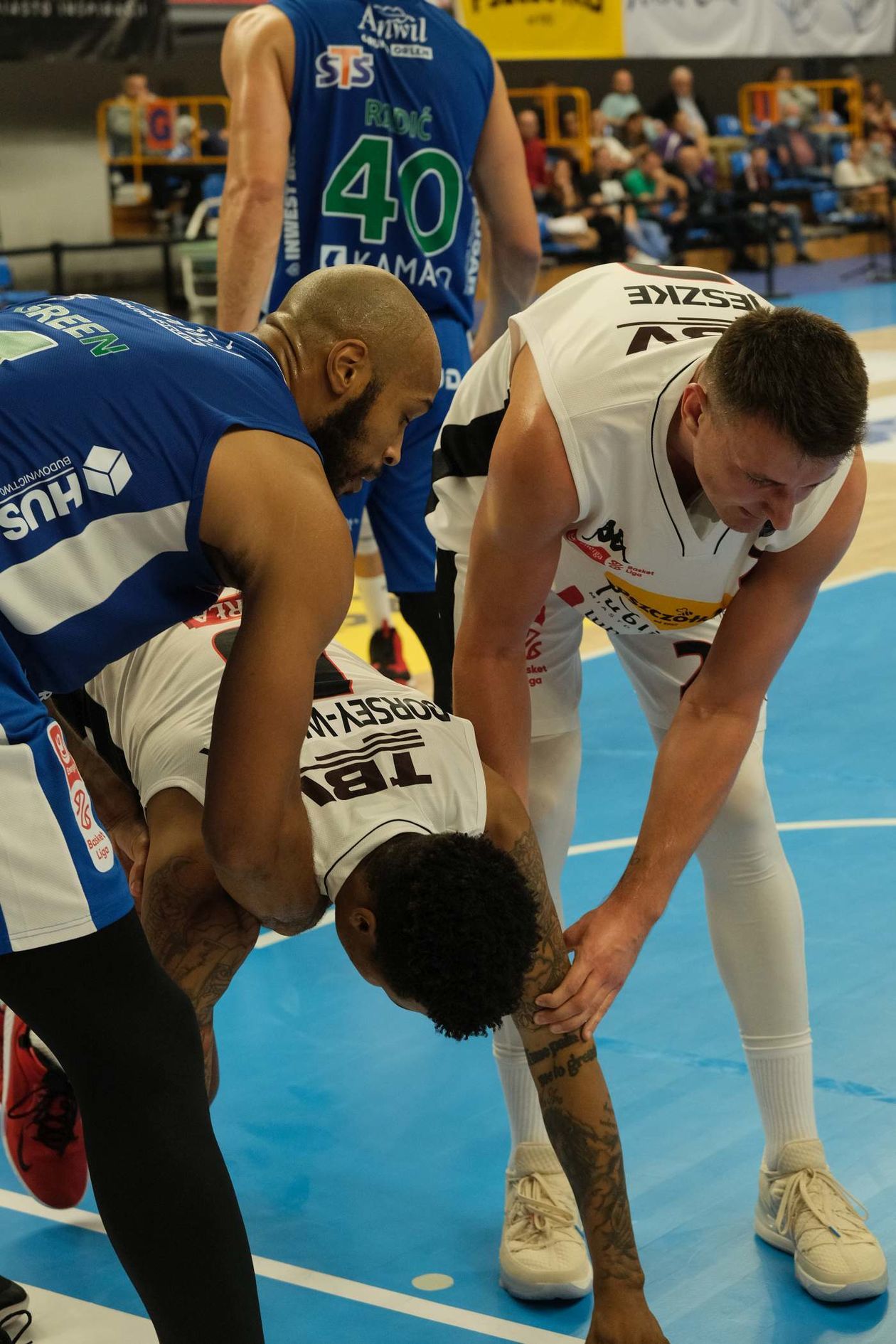  Pszczółka Start Lublin vs Anwil Włocławek (zdjęcie 1) - Autor: Maciej Kaczanowski