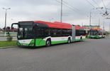 Nowe trolejbusy w Lublinie (zdjęcie 3)