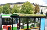 Zielone przystanki w polskich miastach (zdjęcie 5)