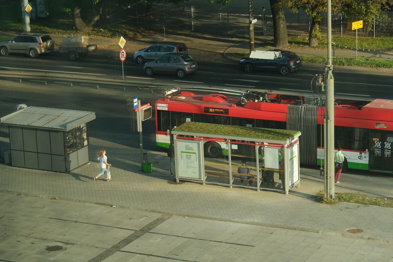  Proekologiczne przystanki autobusowe w Lublinie (zdjęcie 1) - Autor: Maciej Kaczanowski