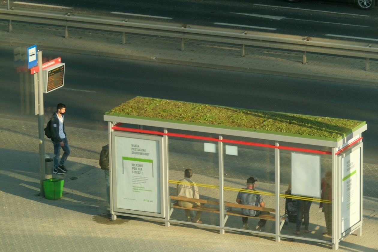  Proekologiczne przystanki autobusowe w Lublinie (zdjęcie 1) - Autor: Maciej Kaczanowski