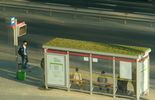 Proekologiczne przystanki autobusowe w Lublinie (zdjęcie 2)