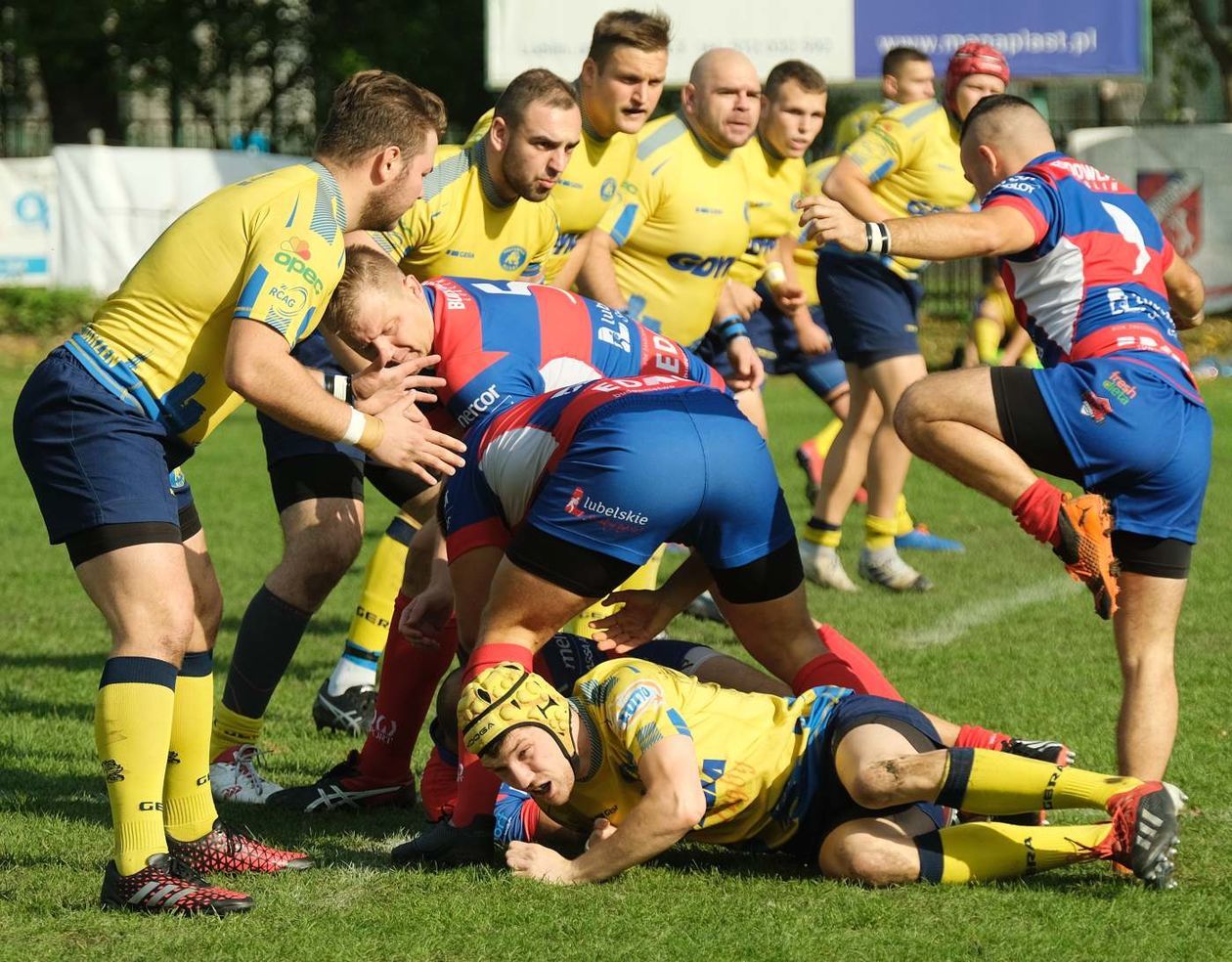  Budowlani Lublin vs Arka Gdynia (zdjęcie 1) - Autor: Maciej Kaczanowski