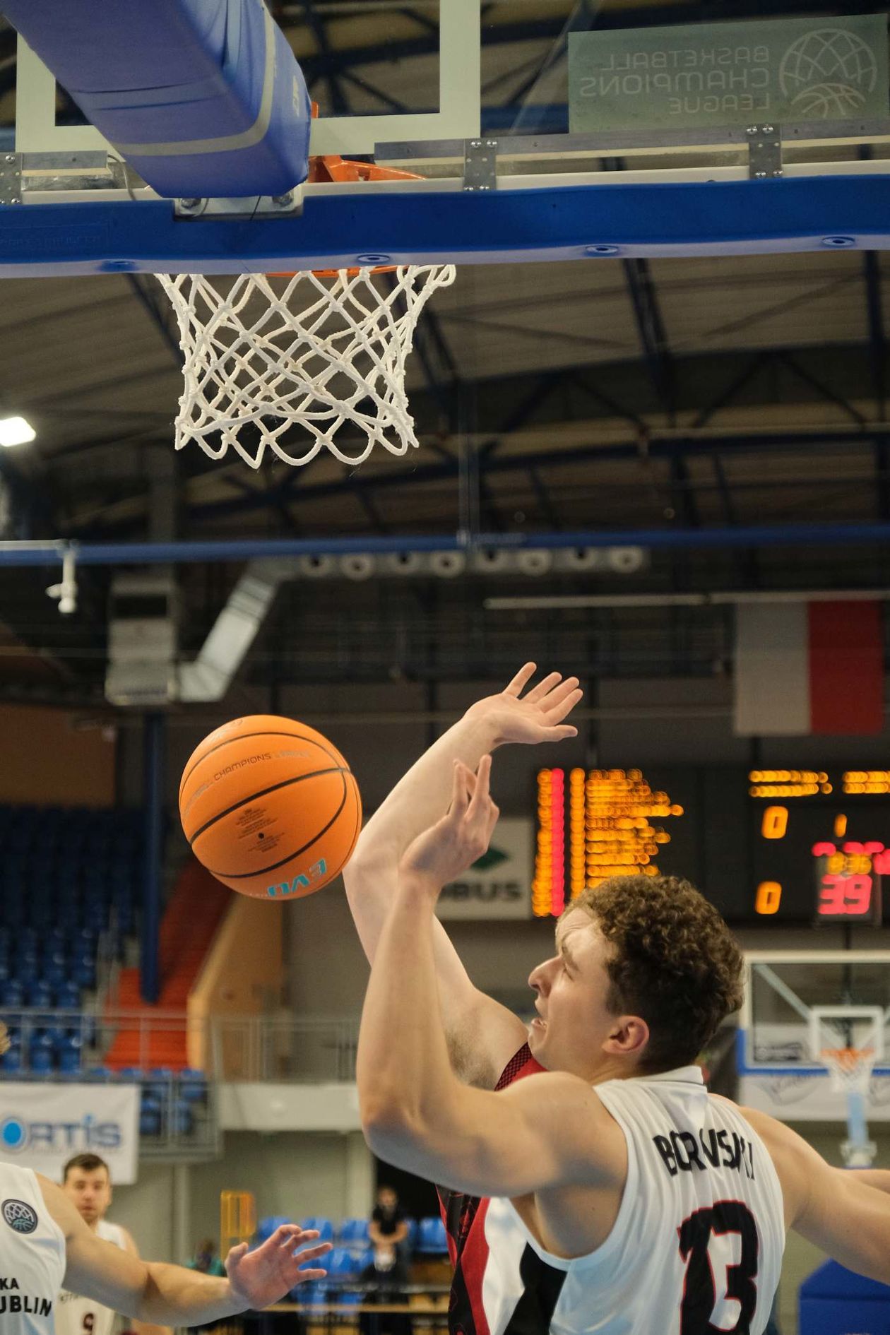  Pszczółka Start Lublin w Lidze Mistrzów mecz z Casademont Saragossa (zdjęcie 1) - Autor: Maciej Kaczanowski